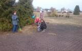 IMG-293e7dbd16dcc4d8eed9fa3a7eab7ec5-V