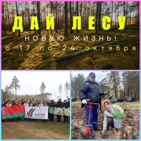 Республиканская акции «Дай лесу новае жыццё!»